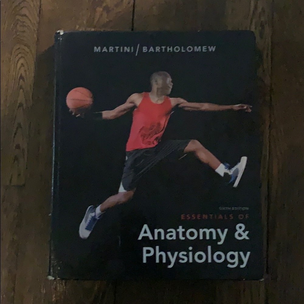 Essentials of Anatomy & Physiology
